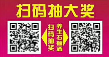 數(shù)字時(shí)代的成功印跡 個(gè)性化與專(zhuān)業(yè)網(wǎng)站建設(shè)案例解析