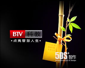 北京5DS 領(lǐng)航中國(guó)數(shù)字視覺(jué)藝術(shù)與職業(yè)教育新紀(jì)元